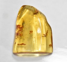 画像3: 虫入り琥珀（コハク） 原石 K2284 (3)