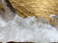 画像6: トマスゴンサガ産 水晶クラスター K2955 (6)